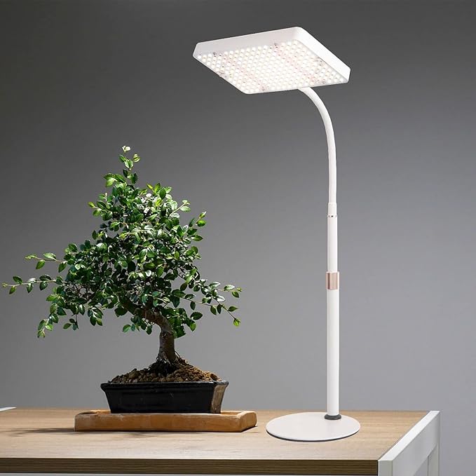 Grow Light Desk Lamp