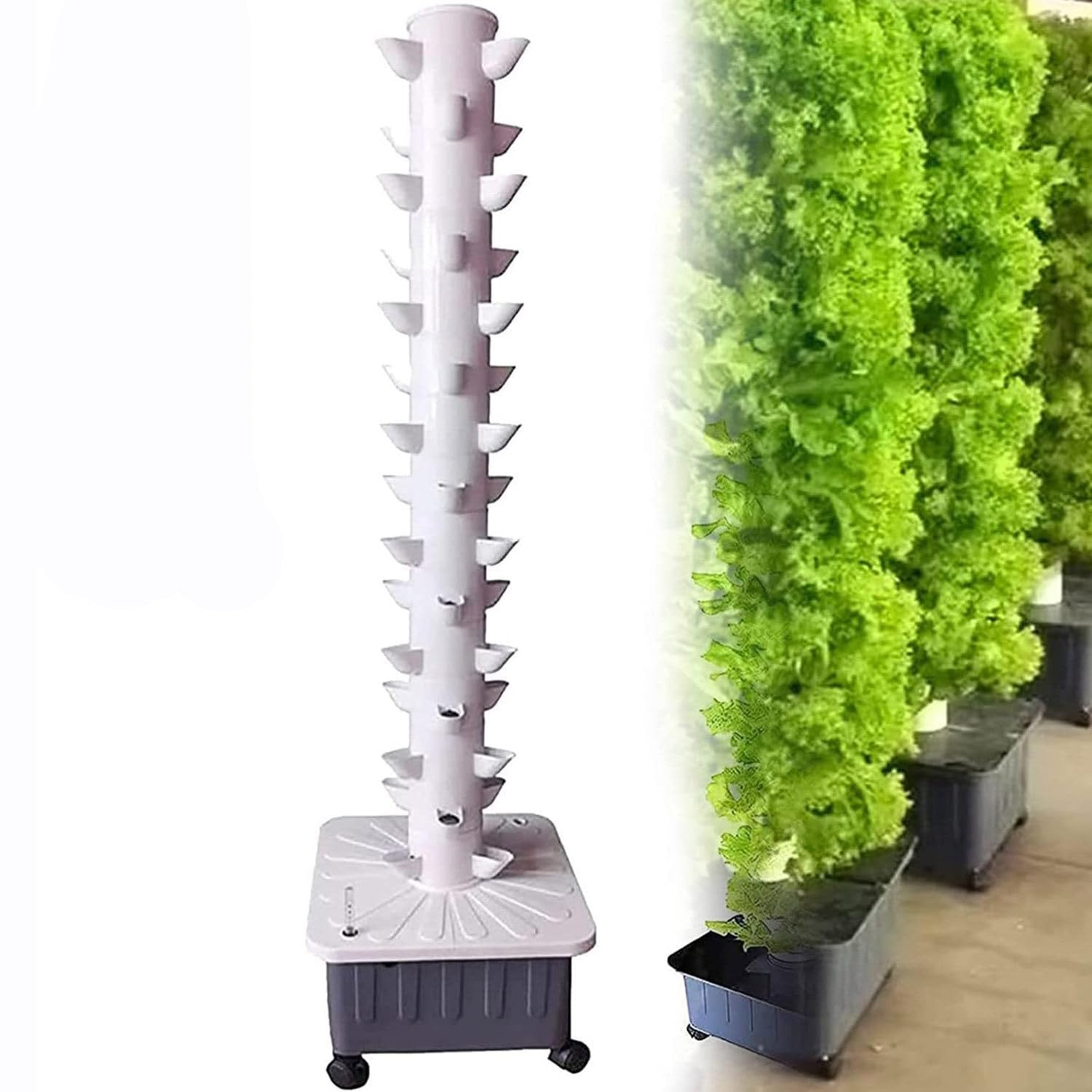 Hydroponic Growing System Kit
