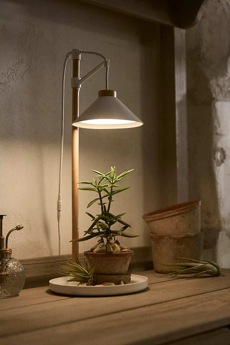 Grow Light Desk Lamp